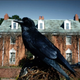 Image for article titled Sleepy Hollow's haunted-house episode traps us in a maze of plot twists
